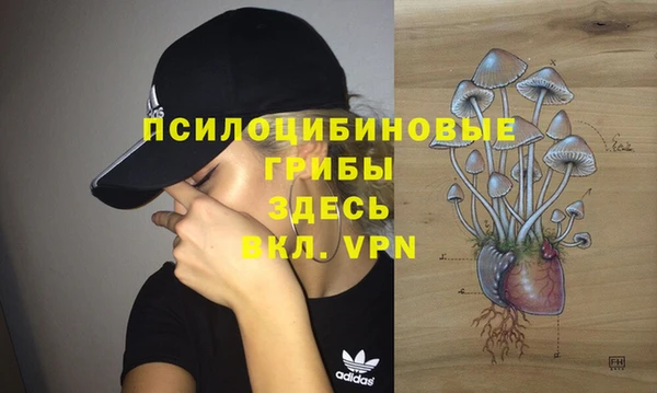 герыч Зеленодольск