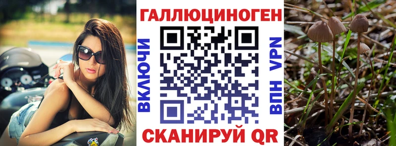 сколько стоит  Ишимбай  hydra сайт  Галлюциногенные грибы Magic Shrooms 