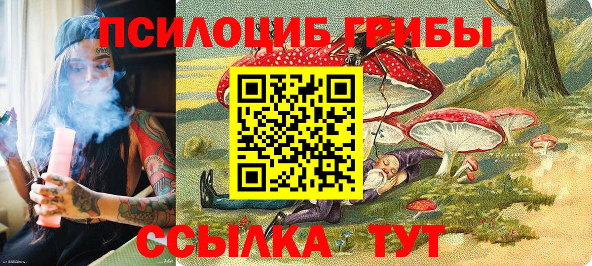 Псилоцибиновые грибы Cubensis  Вход с VPN  Ишимбай  Псилоцибиновые грибы GOLDEN TEACHER 