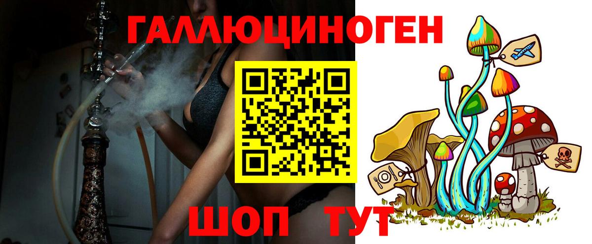 Псилоцибиновые грибы Psilocybe Ишимбай
